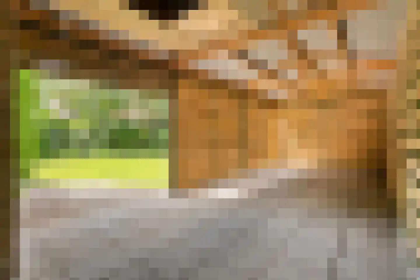 Ericaweg 76 Nijverdal thumbnail 73