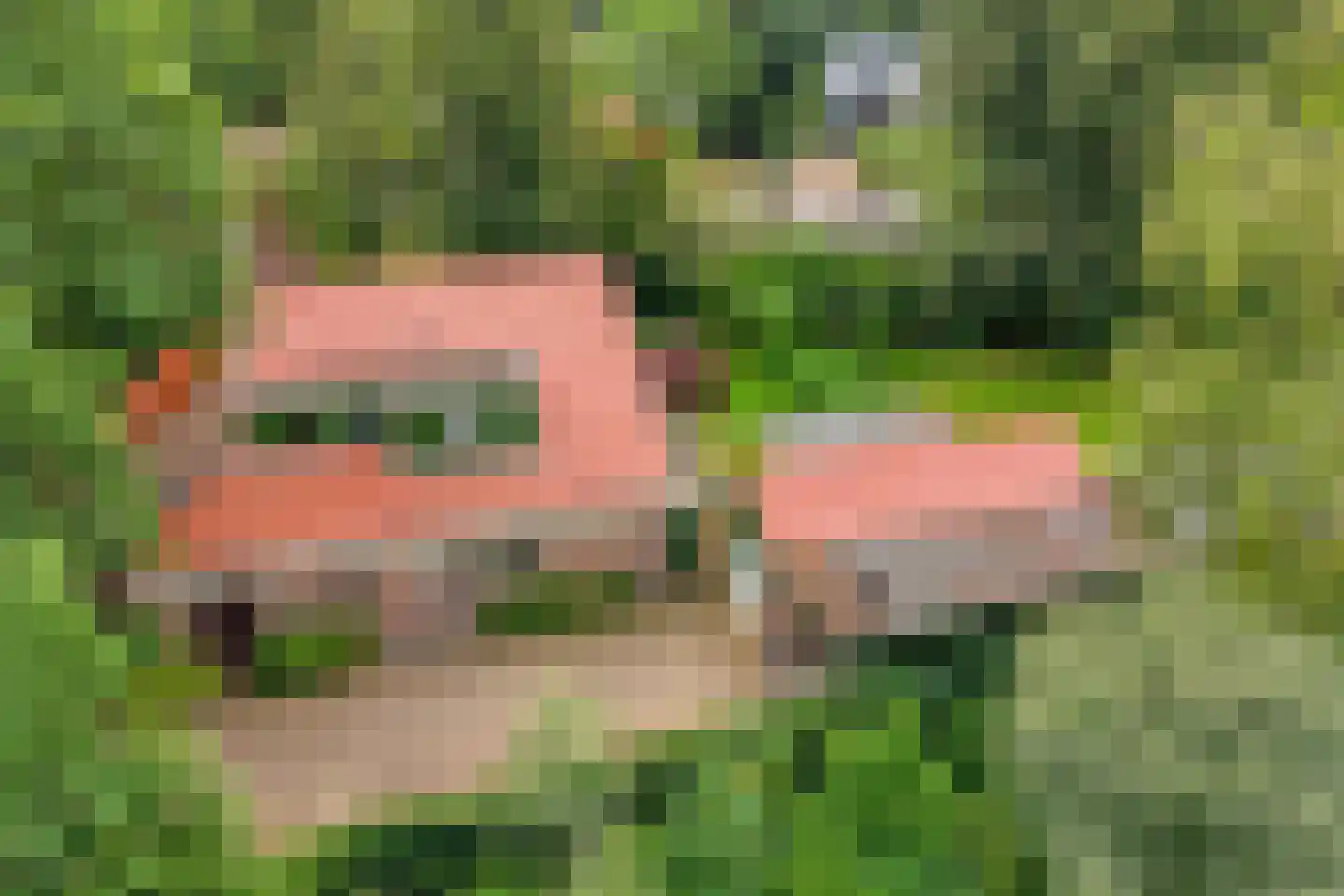 Ericaweg 76 Nijverdal thumbnail 87