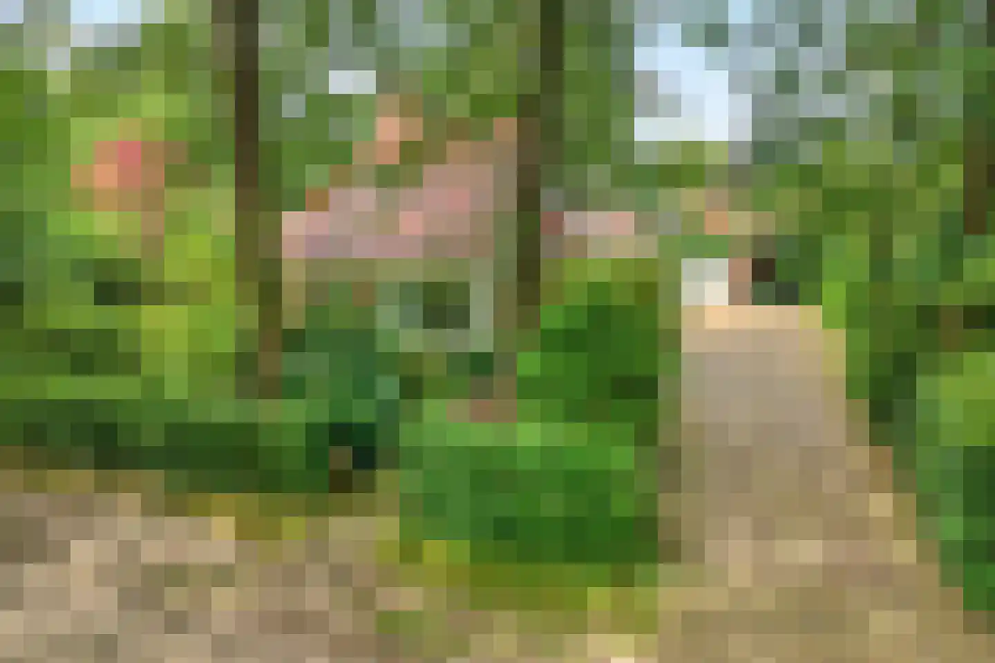 Ericaweg 76 Nijverdal thumbnail 90
