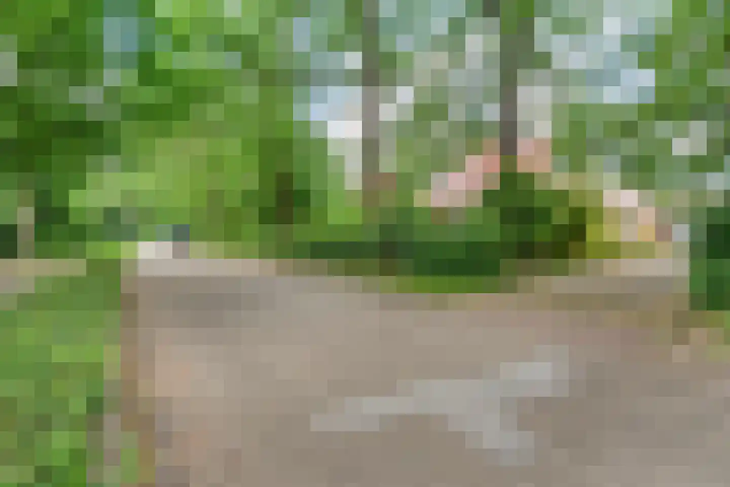 Ericaweg 76 Nijverdal thumbnail 92