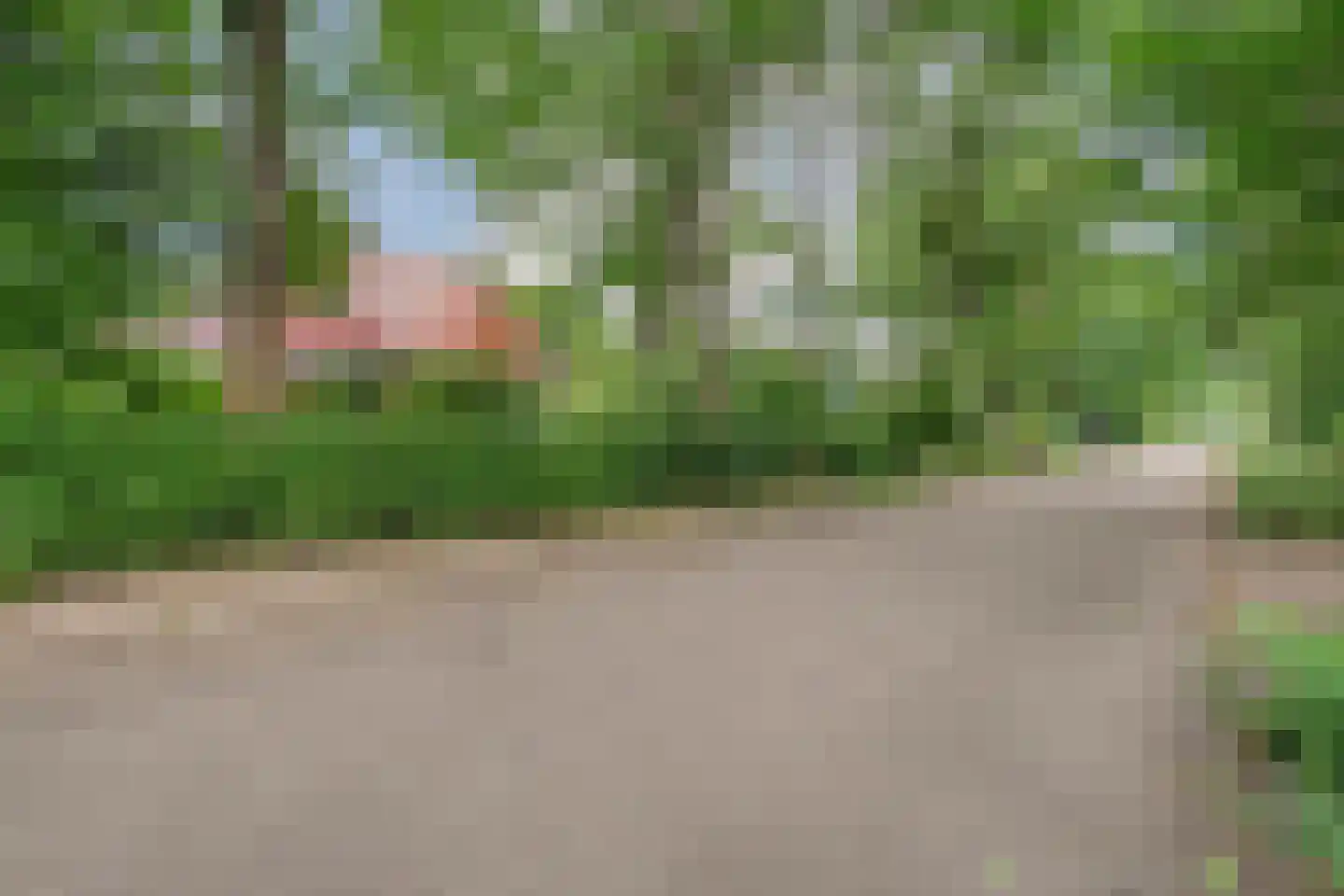 Ericaweg 76 Nijverdal thumbnail 93