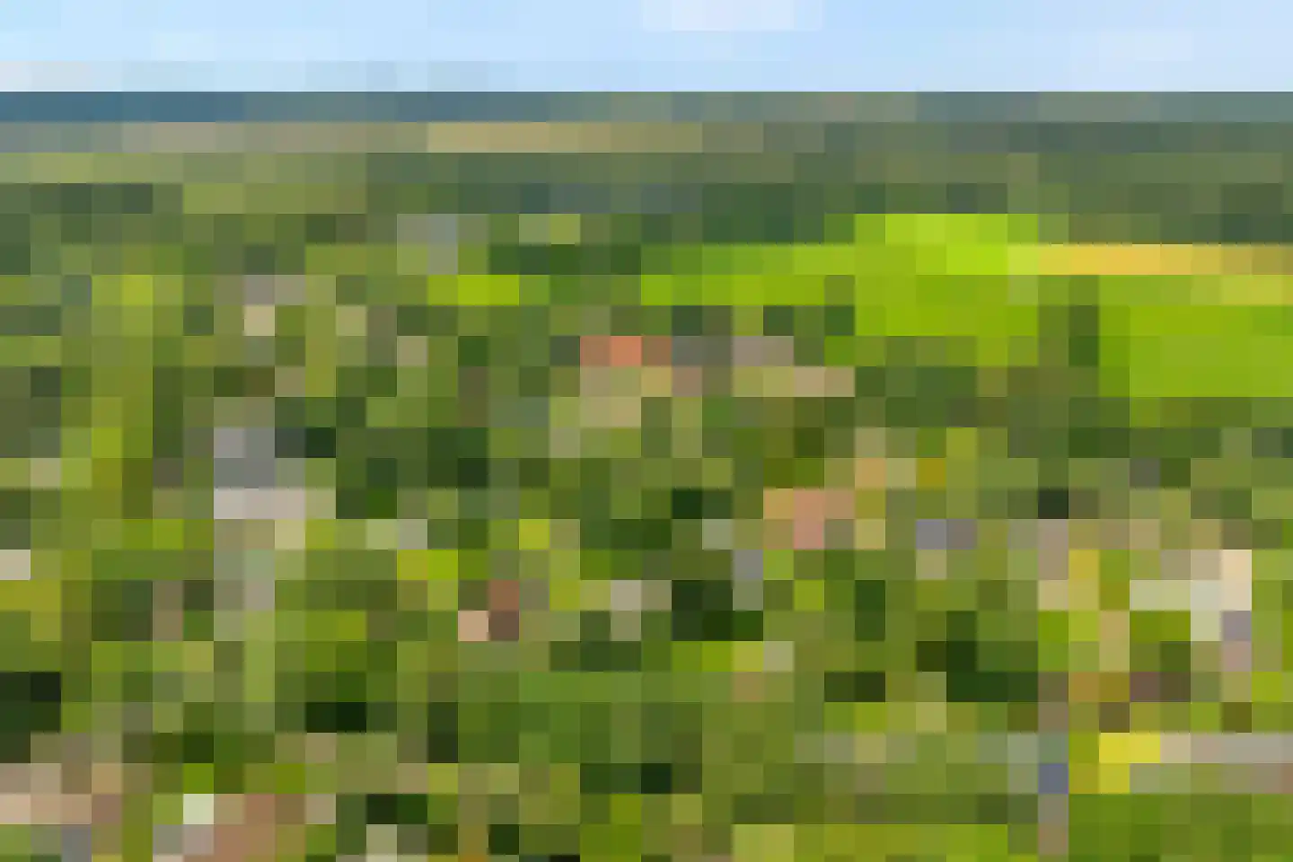 Ericaweg 76 Nijverdal thumbnail 95