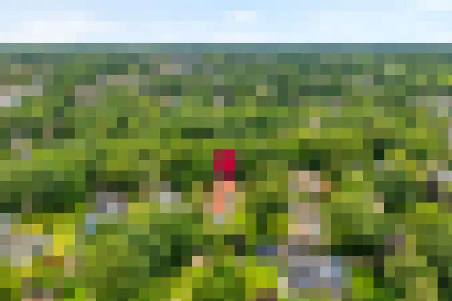 Ericaweg 76 Nijverdal thumbnail 97
