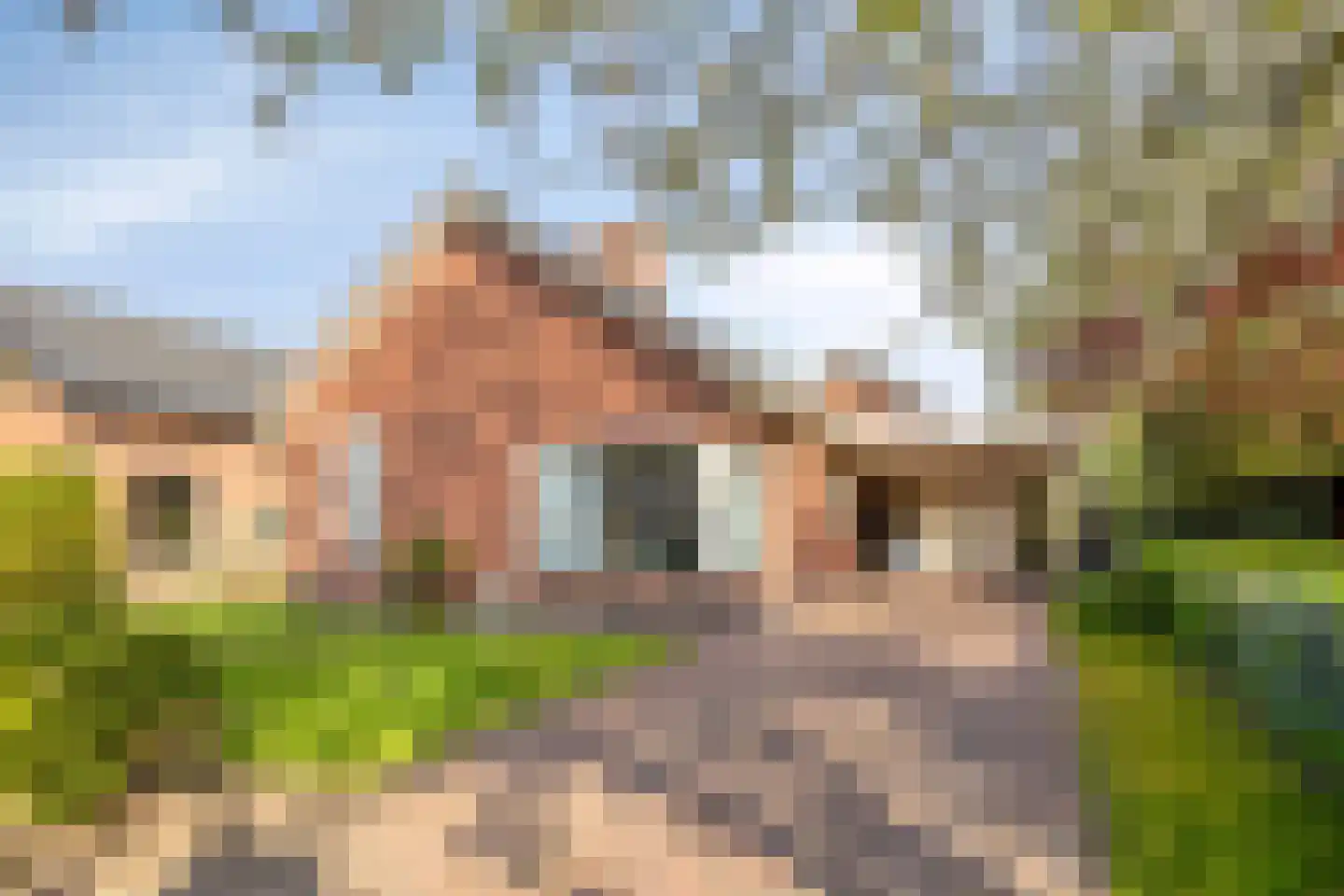 Ericaweg 8 Stroe foto 2