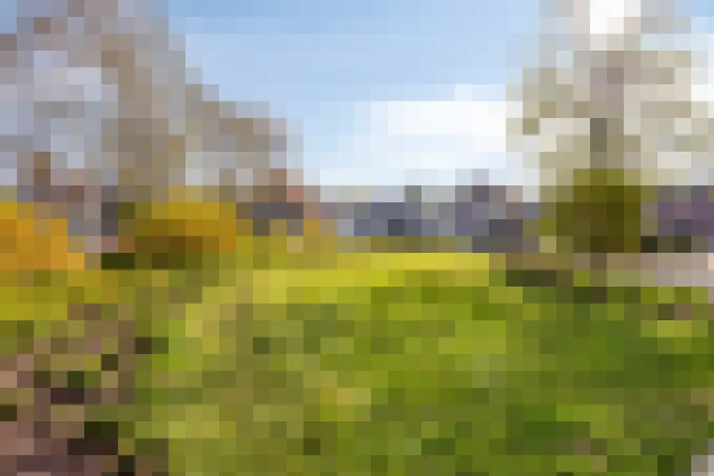 Ericaweg 8 Stroe thumbnail 36