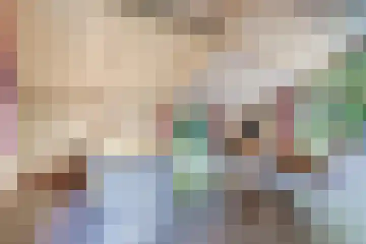 Ericaweg 9 0018 Nunspeet thumbnail 10