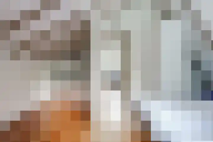 Ericaweg 9 0018 Nunspeet thumbnail 17