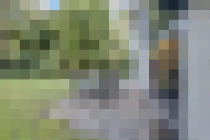 Ericaweg 9 0018 Nunspeet thumbnail 23