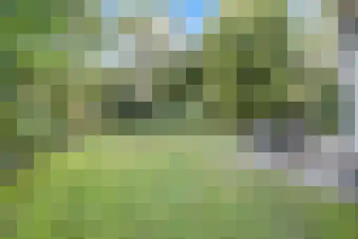 Ericaweg 9 0018 Nunspeet thumbnail 24