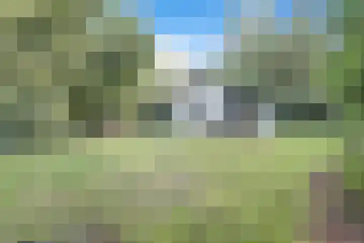 Ericaweg 9 0018 Nunspeet thumbnail 25