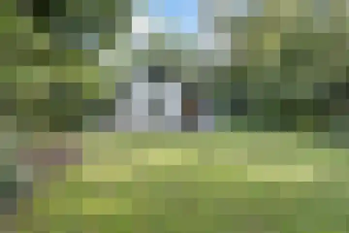 Ericaweg 9 0018 Nunspeet thumbnail 26