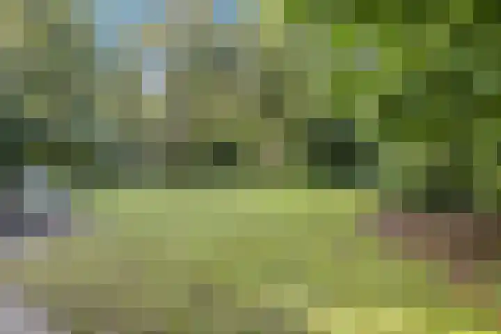 Ericaweg 9 0018 Nunspeet thumbnail 27