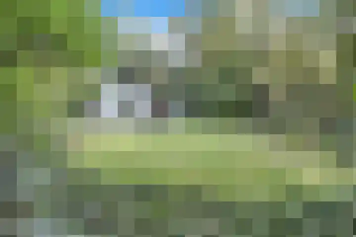 Ericaweg 9 0018 Nunspeet thumbnail 28