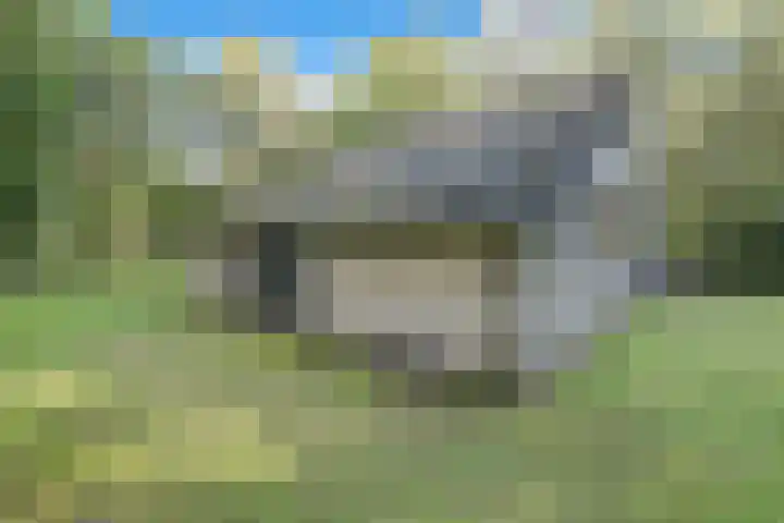 Ericaweg 9 0018 Nunspeet thumbnail 29