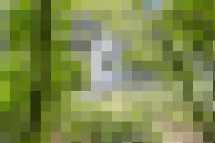 Ericaweg 9 0018 Nunspeet thumbnail 30