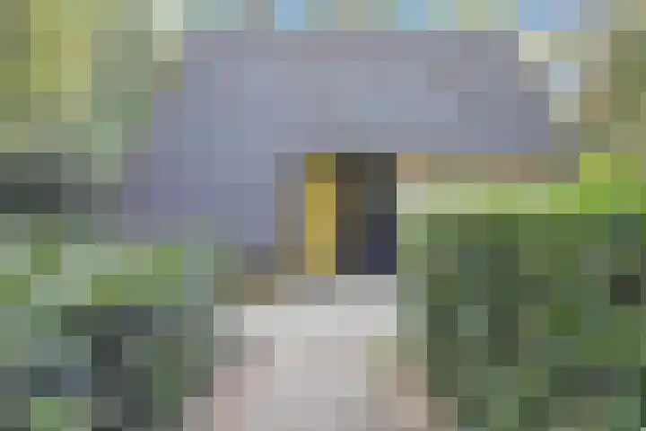 Ericaweg 9 0018 Nunspeet thumbnail 4