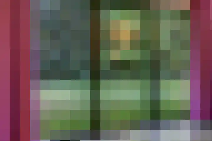 Ericaweg 9 0018 Nunspeet thumbnail 7