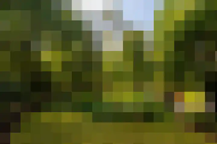 Ericaweg 9 0047 Nunspeet thumbnail 10