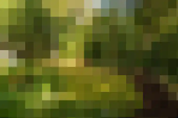 Ericaweg 9 0047 Nunspeet thumbnail 11