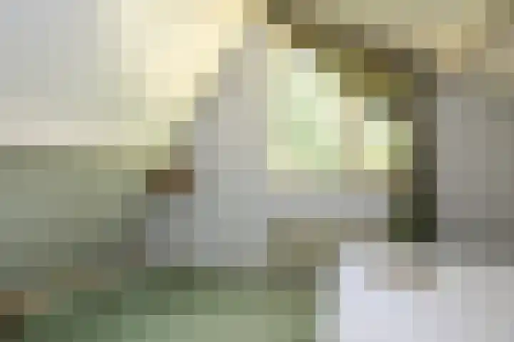 Ericaweg 9 0047 Nunspeet thumbnail 33