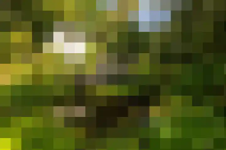 Ericaweg 9 0047 Nunspeet thumbnail 38