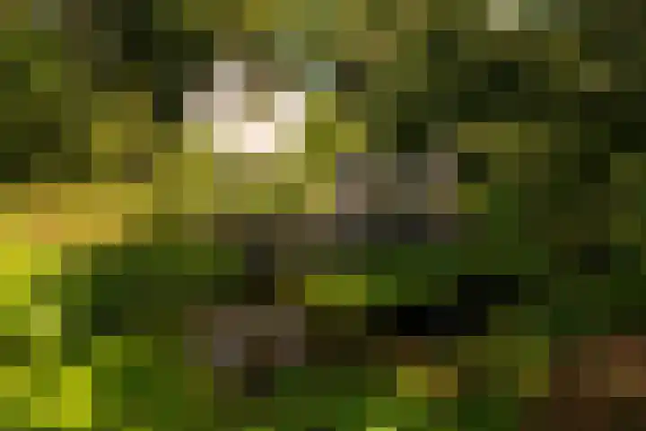 Ericaweg 9 0047 Nunspeet thumbnail 4