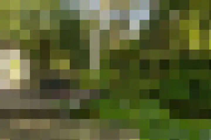 Ericaweg 9 0047 Nunspeet thumbnail 42