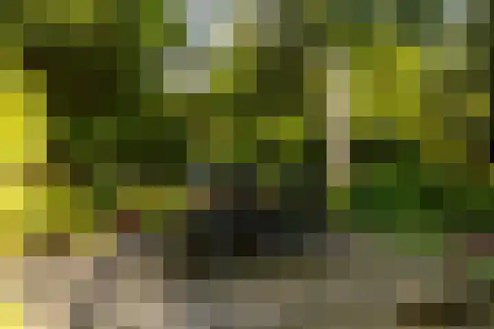 Ericaweg 9 0047 Nunspeet thumbnail 43