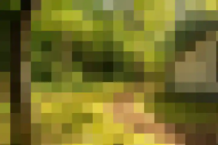 Ericaweg 9 0047 Nunspeet thumbnail 45