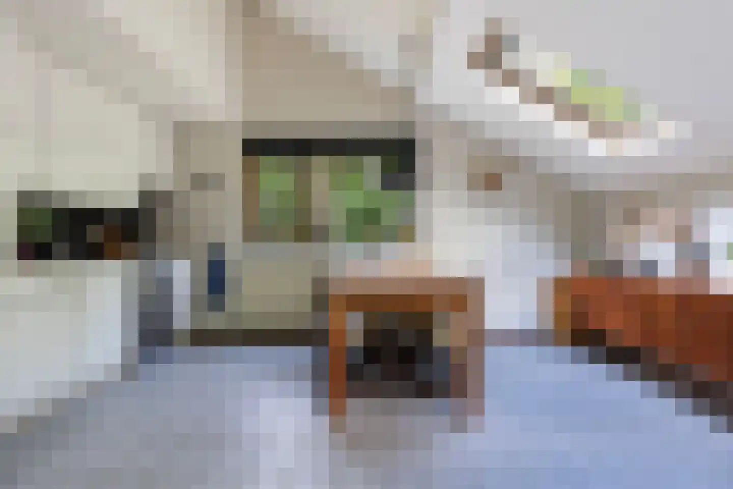 Ericaweg 9 0052 Nunspeet thumbnail 11