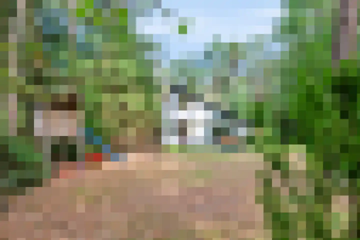 Ericaweg 9 0052 Nunspeet thumbnail 27