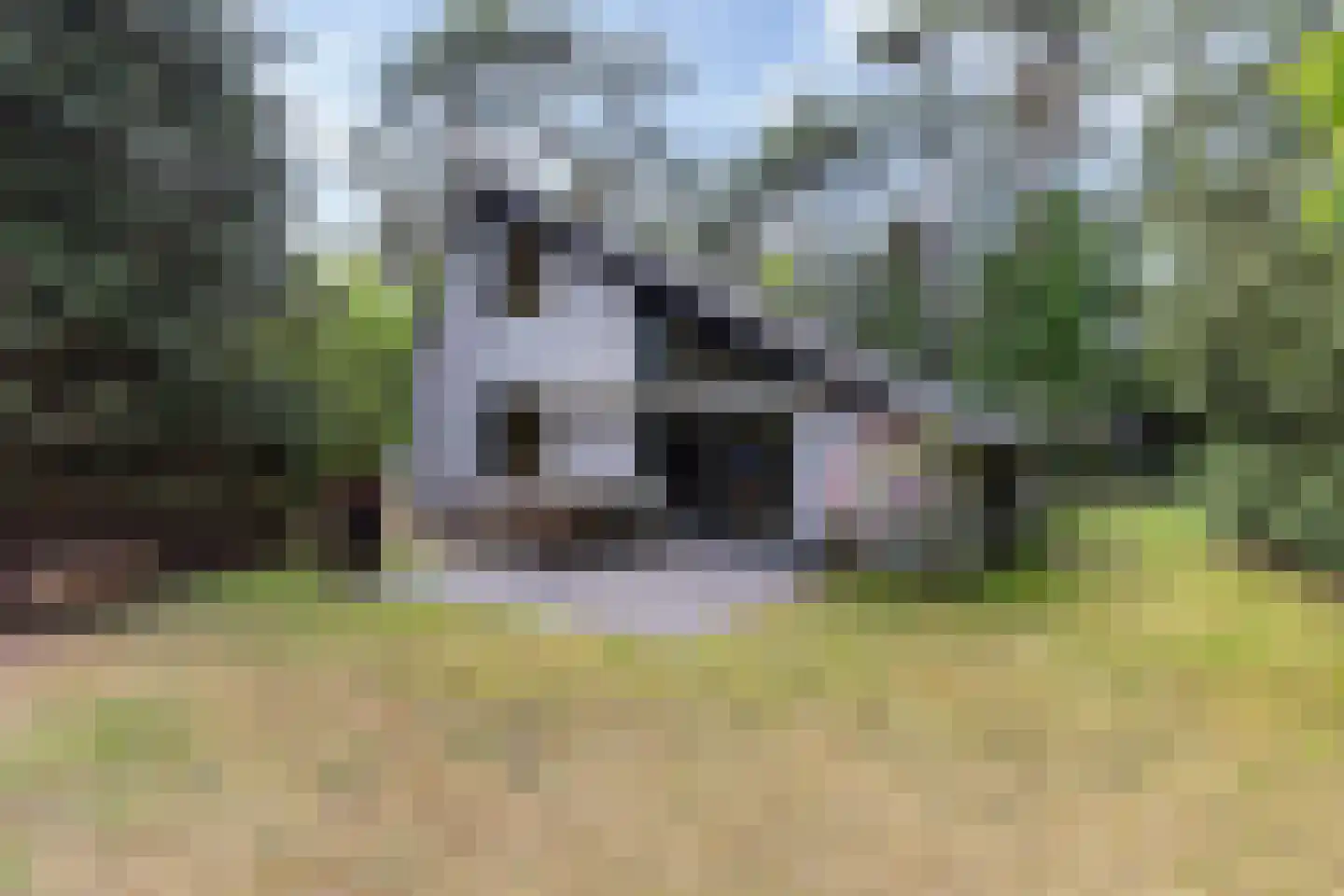 Ericaweg 9 0052 Nunspeet thumbnail 27