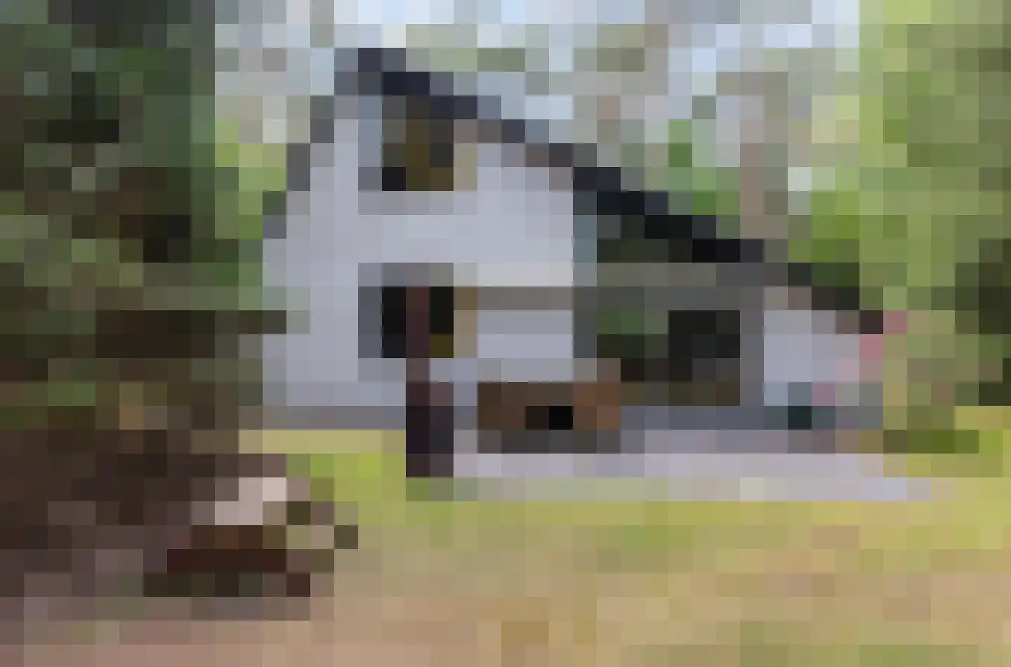 Ericaweg 9 0052 Nunspeet thumbnail 28