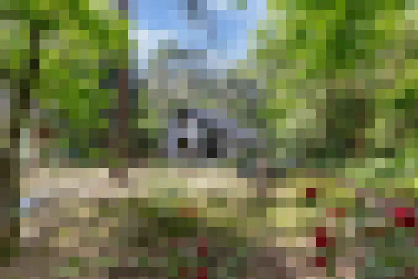 Ericaweg 9 0052 Nunspeet thumbnail 29