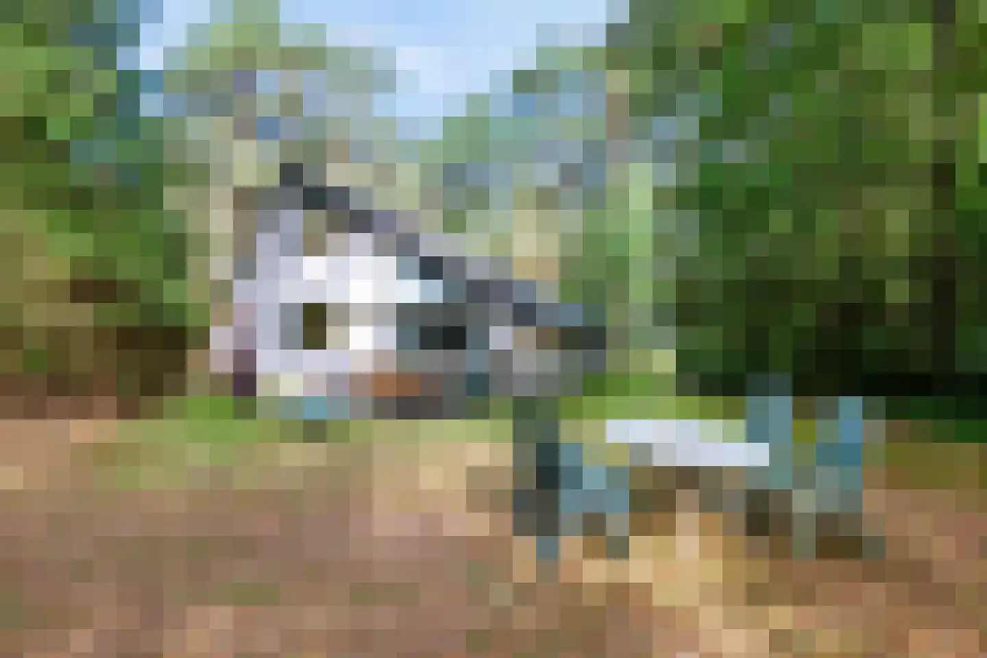 Ericaweg 9 0052 Nunspeet thumbnail 29