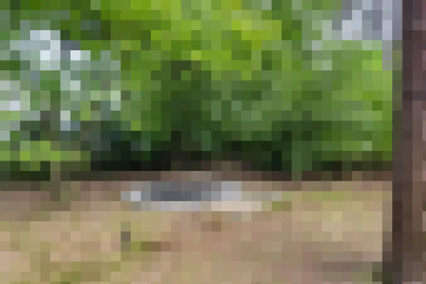 Ericaweg 9 0052 Nunspeet thumbnail 35