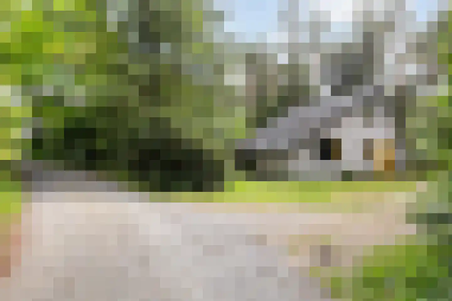 Ericaweg 9 0052 Nunspeet thumbnail 39