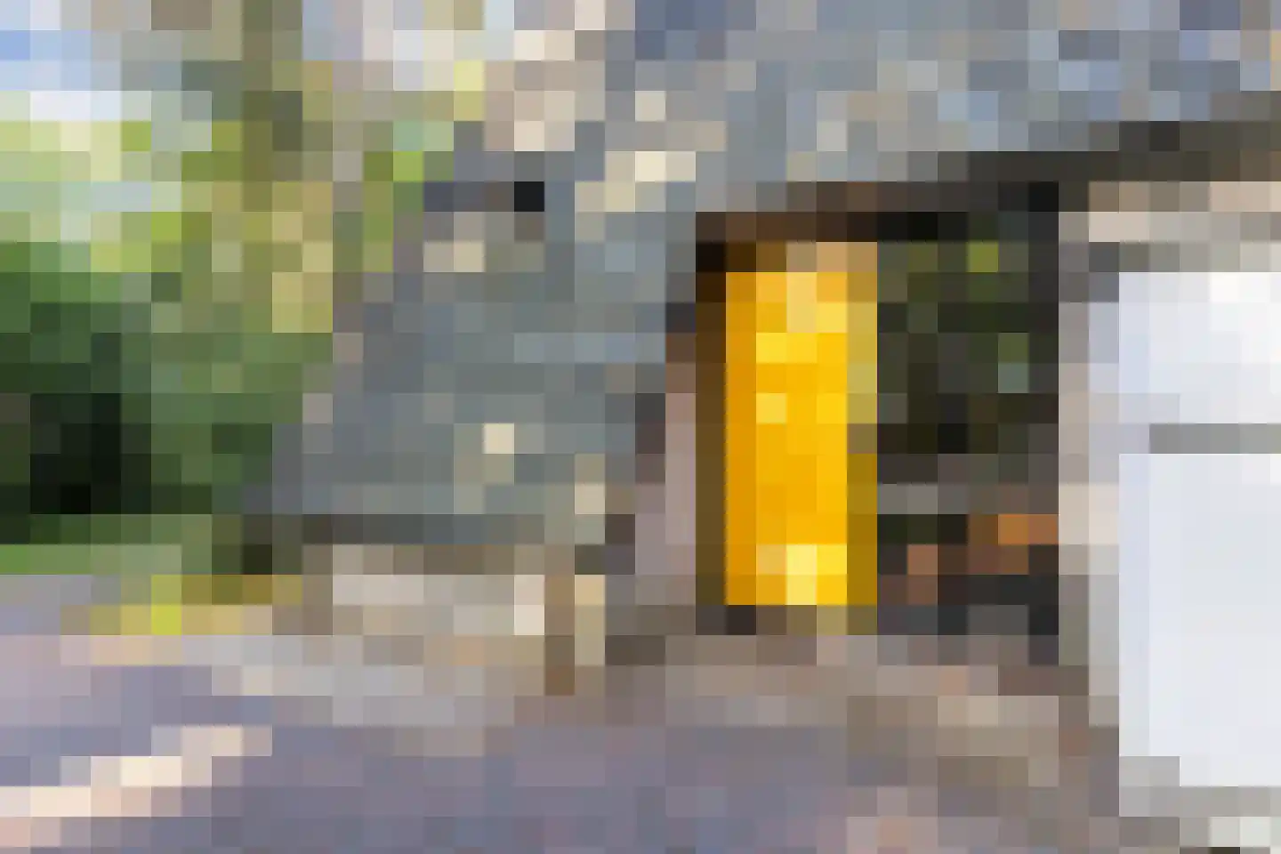 Ericaweg 9 0052 Nunspeet thumbnail 4