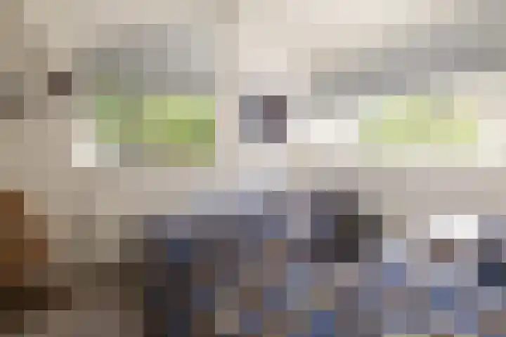 Ericaweg 9 0123 Nunspeet thumbnail 24