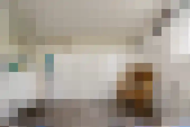 Ericaweg 9 0123 Nunspeet thumbnail 25