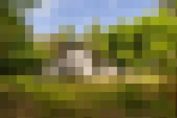Ericaweg 9 0123 Nunspeet thumbnail 28