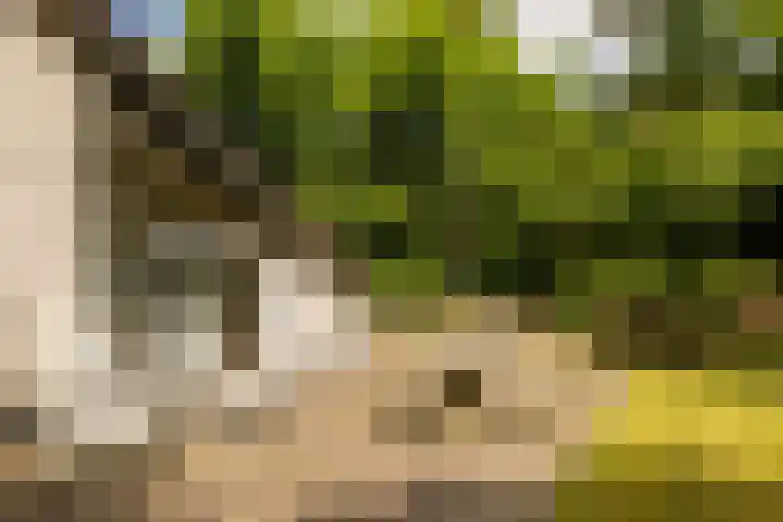 Ericaweg 9 0123 Nunspeet thumbnail 33