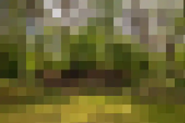 Ericaweg 9 0123 Nunspeet thumbnail 34
