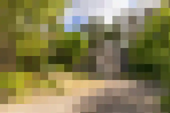 Ericaweg 9 0123 Nunspeet thumbnail 36