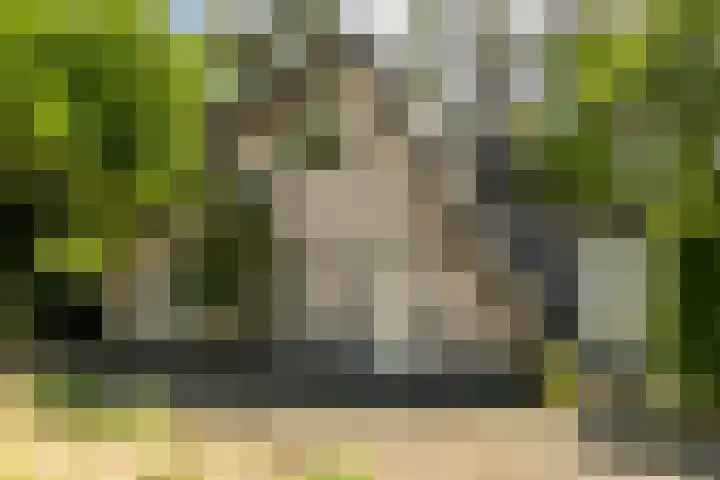 Ericaweg 9 0123 Nunspeet thumbnail 37