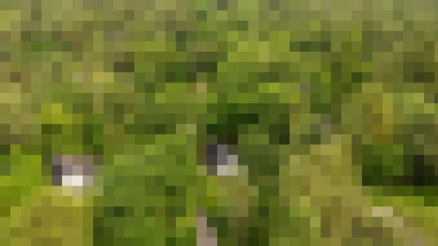 Ericaweg 9 0126 Nunspeet thumbnail 4