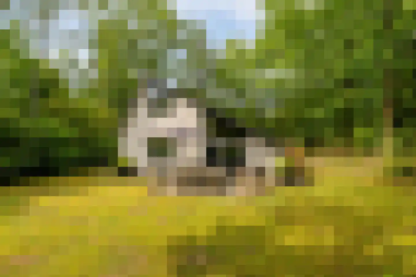 Ericaweg 9 0126 Nunspeet thumbnail 7