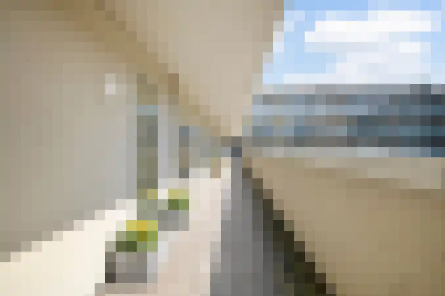 Erich Salomonstraat 124 Amsterdam thumbnail 20