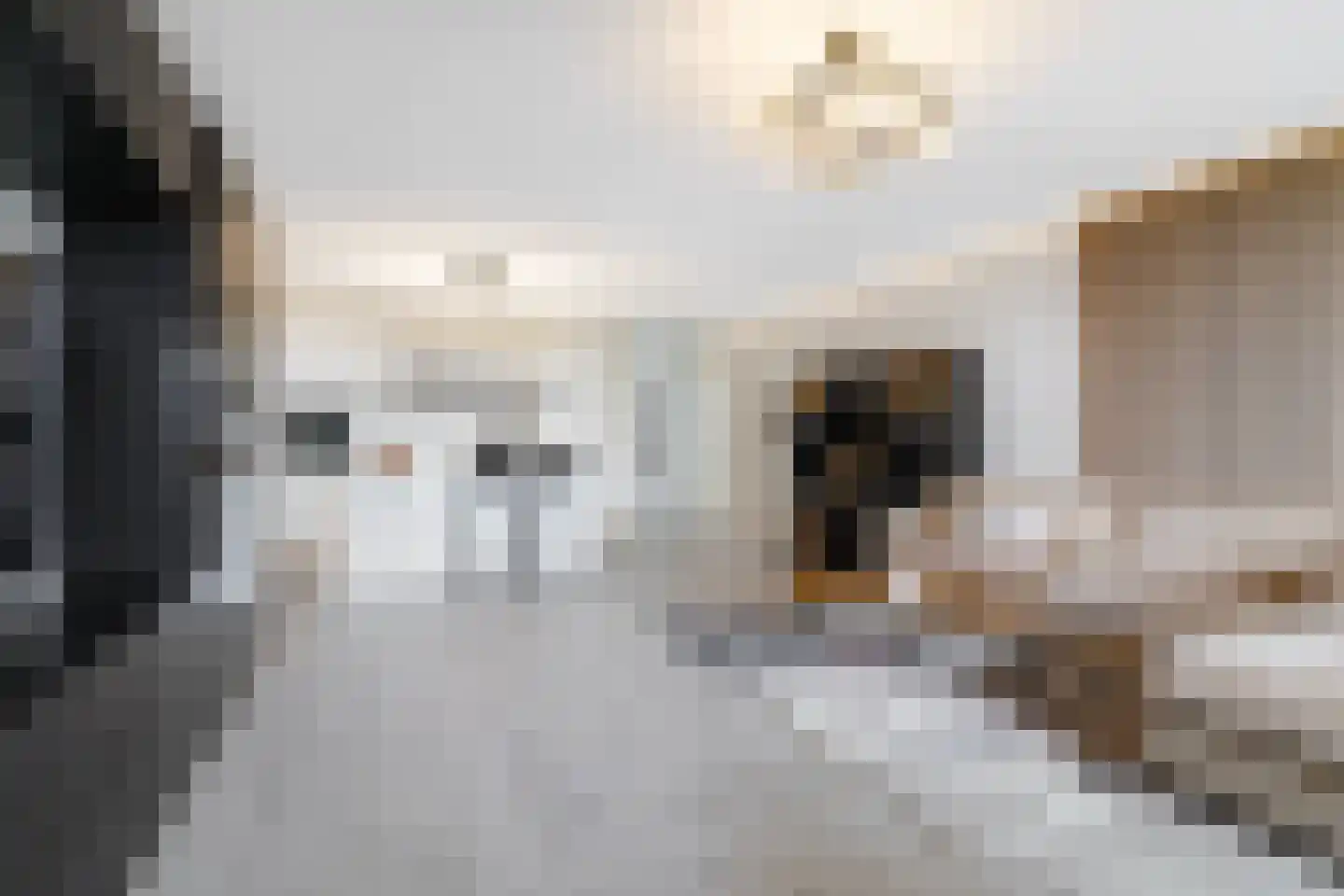 Erich Salomonstraat 128 Amsterdam thumbnail 10