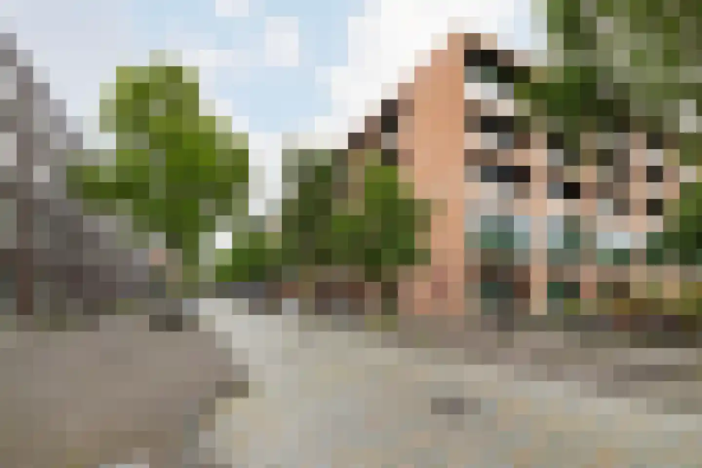 Erich Salomonstraat 128 Amsterdam thumbnail 30